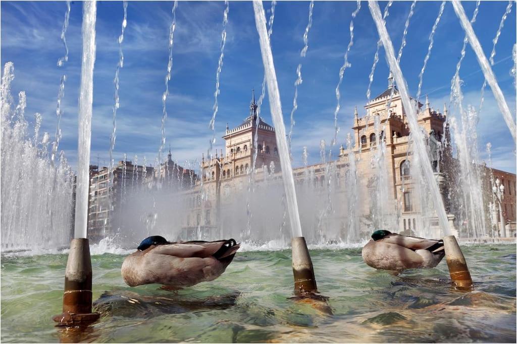 Atico La Antigua Valladolid Dış mekan fotoğraf